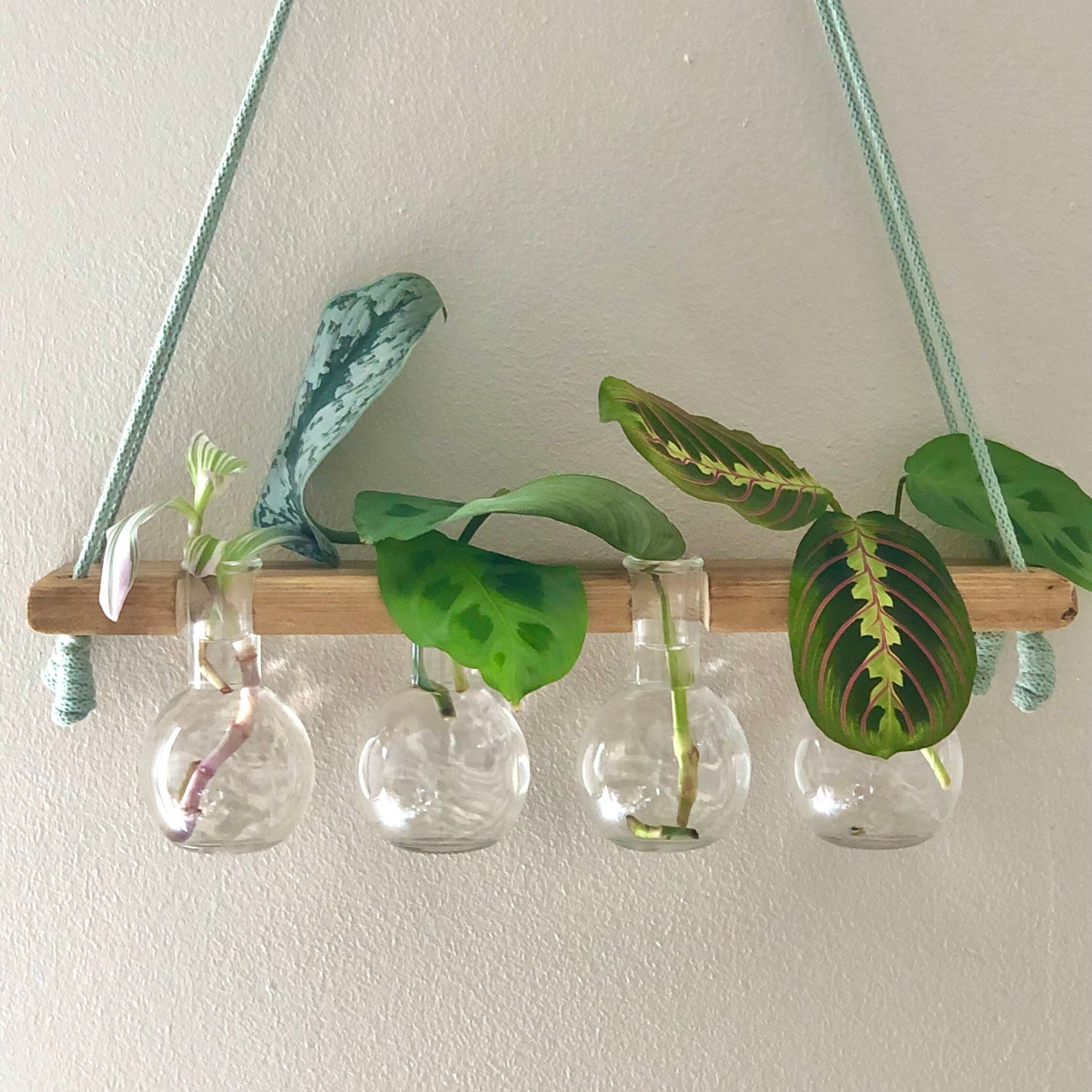 Small Hanging Glass Vase Air Plant Terrarium By Dingading Terrariums