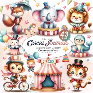 Imágenes prediseñadas de animales de circo adorables y lindos, imágenes prediseñadas de ilustración de animales de circo lindos en acuarela, imágenes prediseñadas de animales de circo lindos, uso comercial