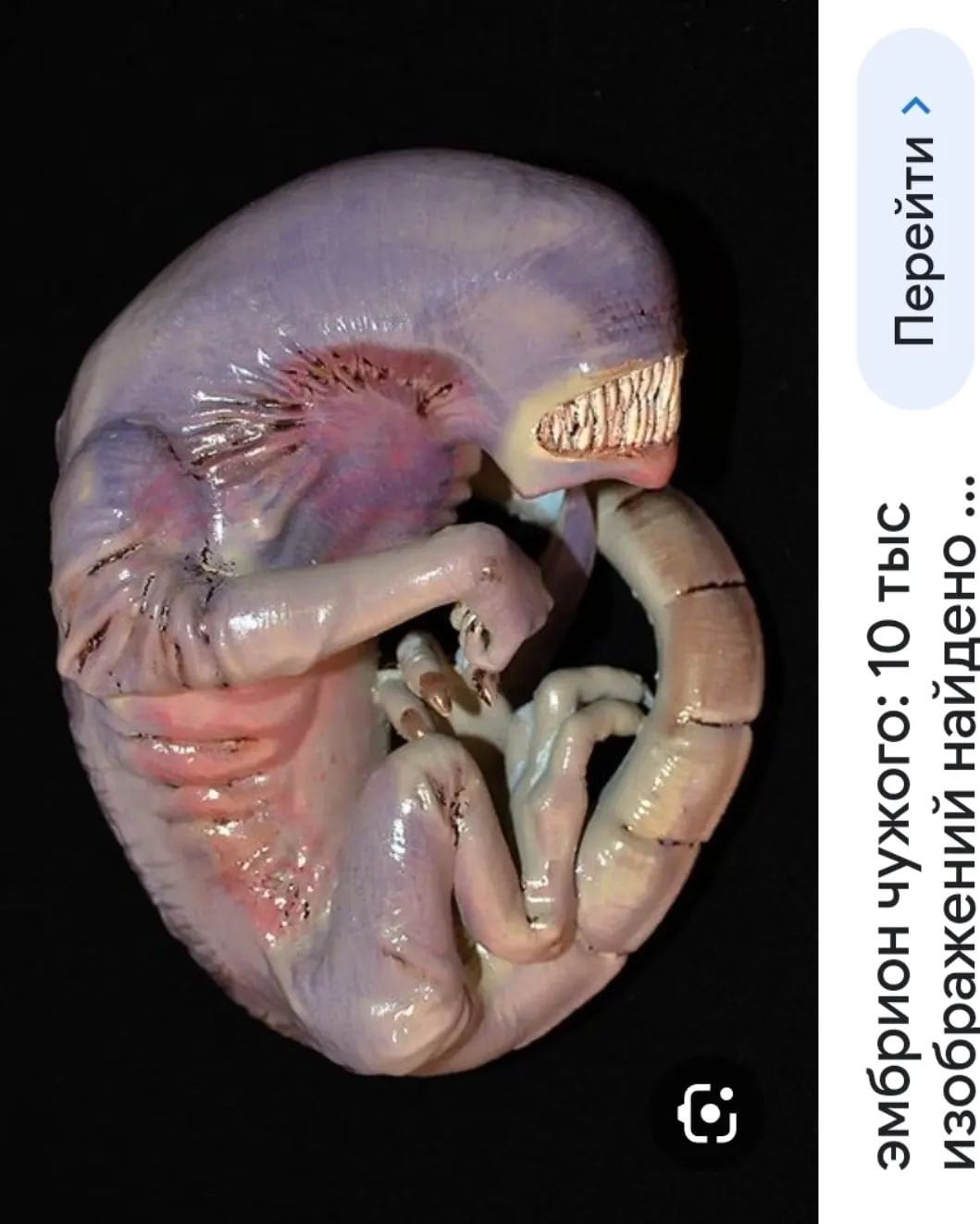 Embryo Alien Xenomorph Romulus Plush Toy Big Size - Etsy