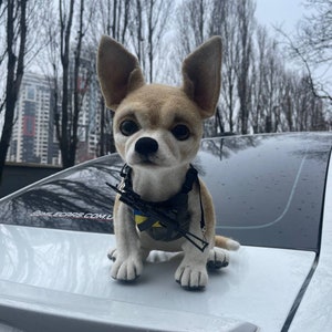 May include: A small, tan and white chihuahua plush toy wearing a camouflage vest with a Ukrainian flag patch and a toy gun. The toy is sitting on the back of a white car.