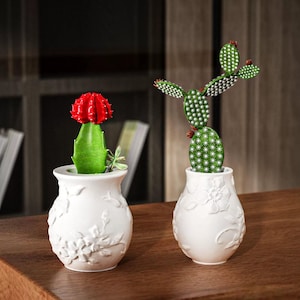 May include: Two white ceramic pots with floral designs, each containing a different type of cactus. One cactus has red flowers and the other has green leaves with white spots.