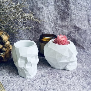 May include: Two white geometric skull shaped planters. One planter has a small pink succulent plant inside.