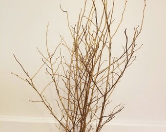 Blueberry branches - Gold