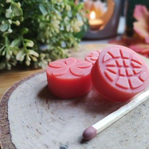 Rhubarb & Citrus Wax Melts 70g - 100% Vegan Soy Wax - Best Friend, Niece, Girlfriend Gift - Red Wax Melt Shapes - Handmade in Edinburgh, UK