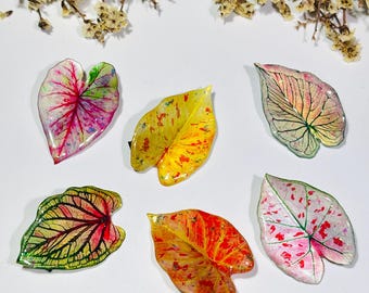 Colorful Caladium Leaf Hair Clip, Botanical Plant Hair Accessory, Gift For Plant Lover