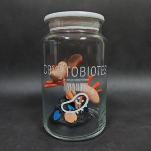 Puede incluir: Un frasco de vidrio con tapa blanca que contiene una colección de pequeñas figuras de arcilla de color naranja y rosa. El frasco está etiquetado con "CRYPTOBIOTES" y un código de barras debajo.