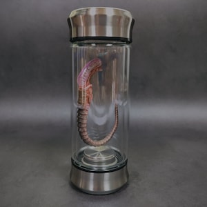 Alien Glas Xenomorph Specimen Facehugger Embry Glass Glas Film Prop Replica Chestburster
