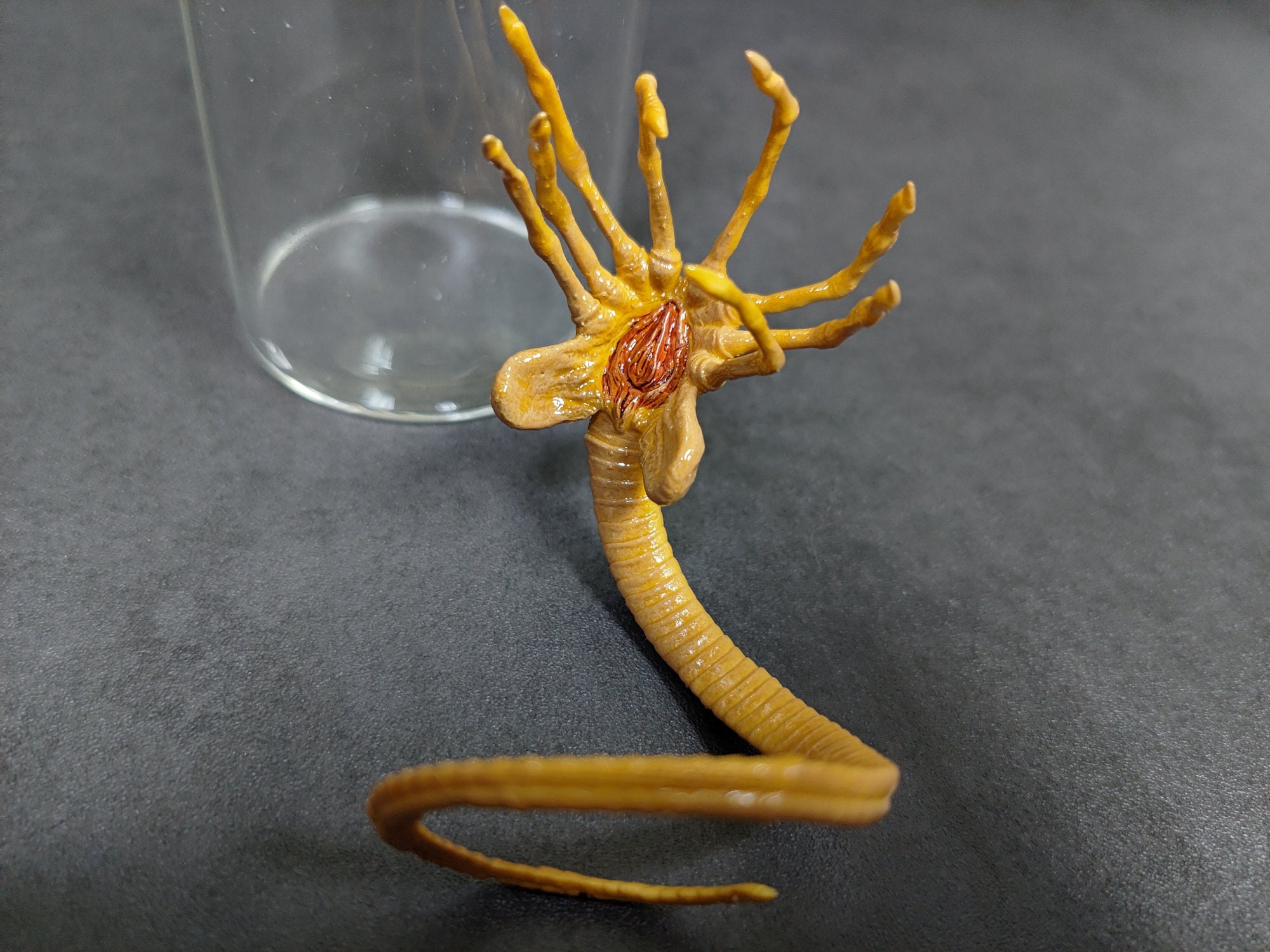 Alien Jar Xenomorph Facehugger Specimen Embryo Glass Jar Movie Etsy