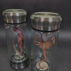 Alien Jar Xenomorph Specimen Facehugger Embryo Glass Jar Movie Prop - Etsy