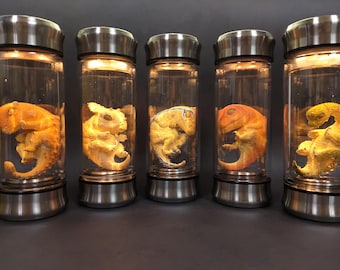 Dinosaur Embryo Jar Velociraptor Specimen Test Tubes Jurassic Movie Prop