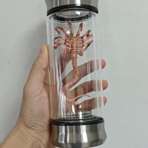Alien Jar Xenomorph Specimen Facehugger Embryo Glass Jar Movie Prop - Etsy