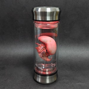 Xenomorph Embryo Jar Alien Specimen in a Jar with Lamp Alien Movie Prop