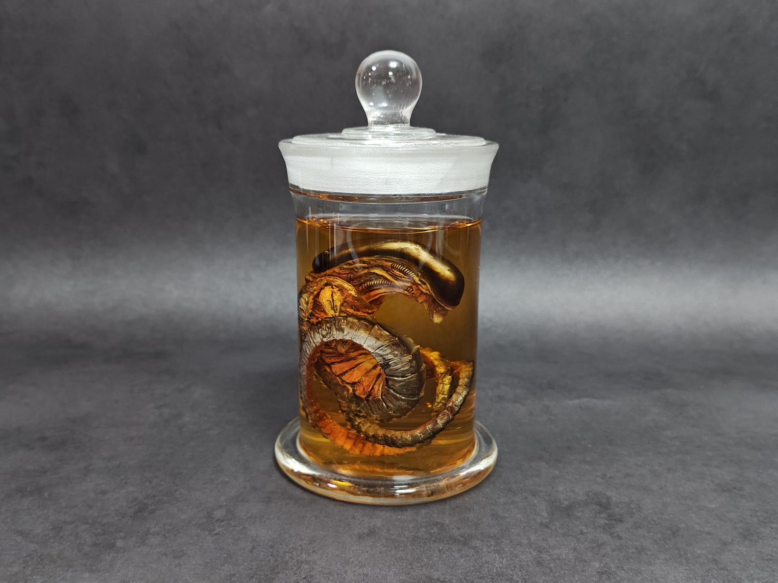 Xenomorph Alien Jar Facehugger Chestburster Specimen Jar Glass Movie ...