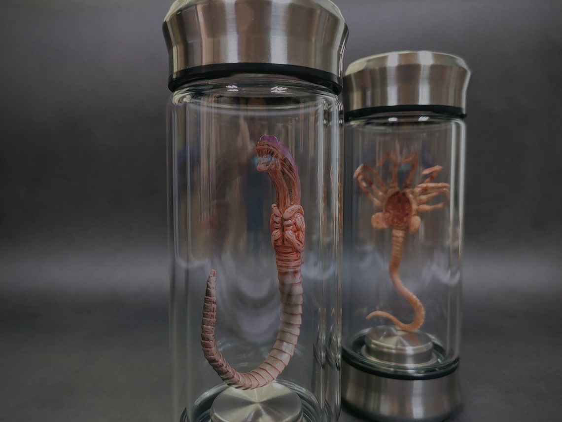 Alien Jar Xenomorph Specimen Facehugger Embryo Glass Jar Movie Etsy UK