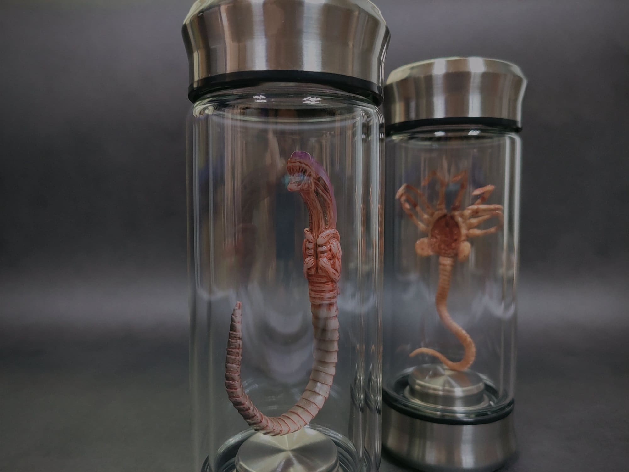 Alien Jar Xenomorph Specimen Facehugger Embryo Glass Jar Movie Etsy