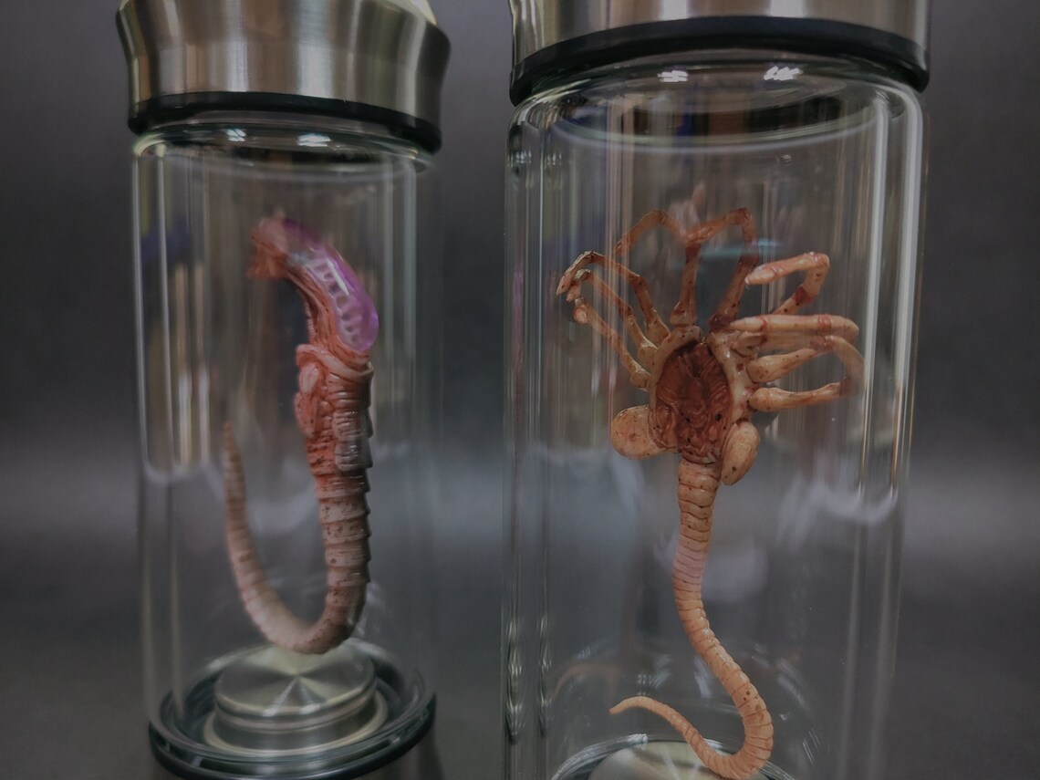 Alien Jar Xenomorph Specimen Facehugger Embryo Glass Jar Movie Etsy