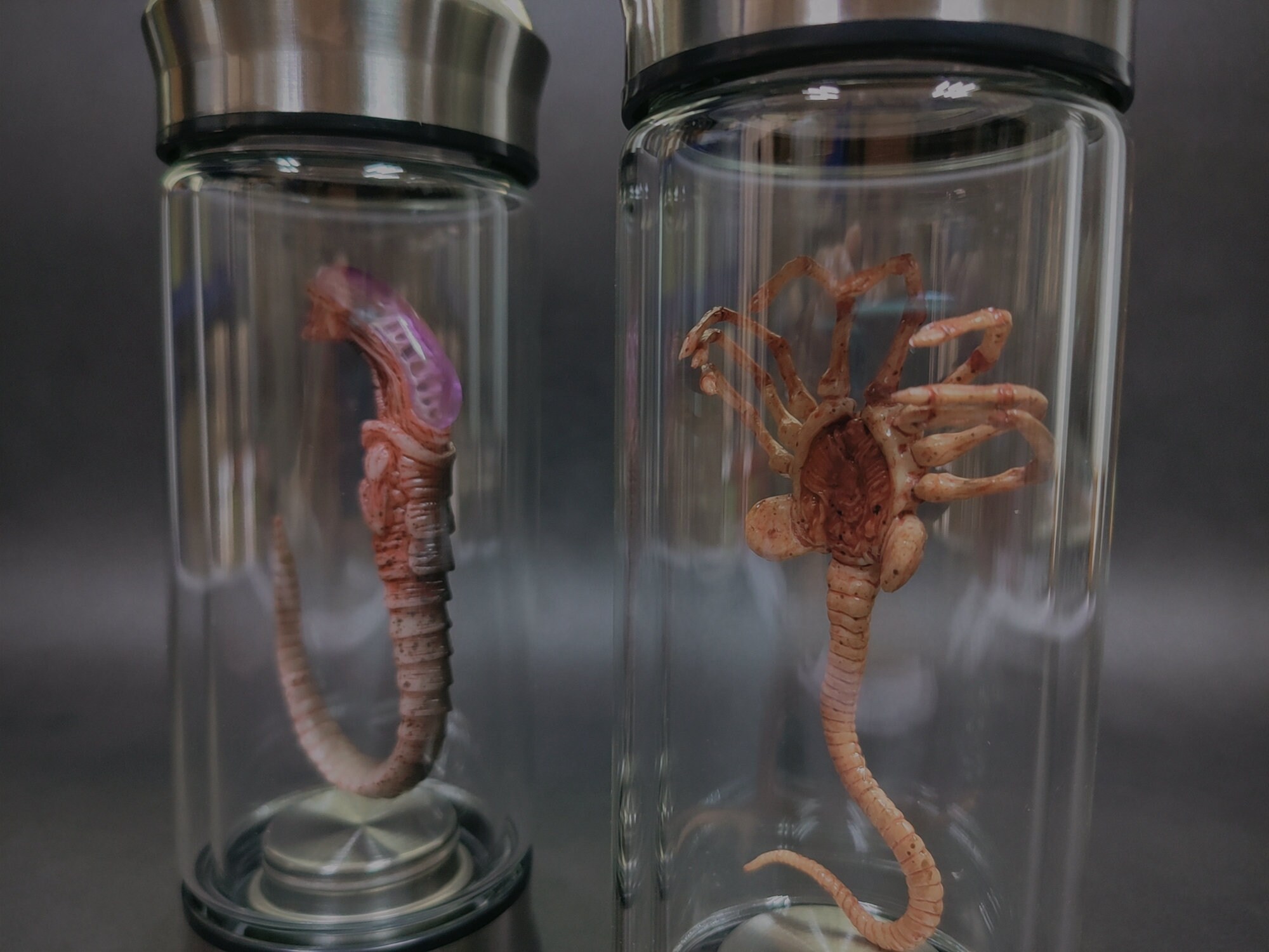 Alien Jar Xenomorph Specimen Facehugger Embryo Glass Jar Movie Etsy UK