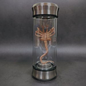 Alien Glas Xenomorph Specimen Facehugger Embry Glass Glas Film Prop Replica Facehugger