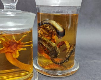 ゼノモーフ エイリアンジャー フェイスハガー チェストバスター 標本瓶