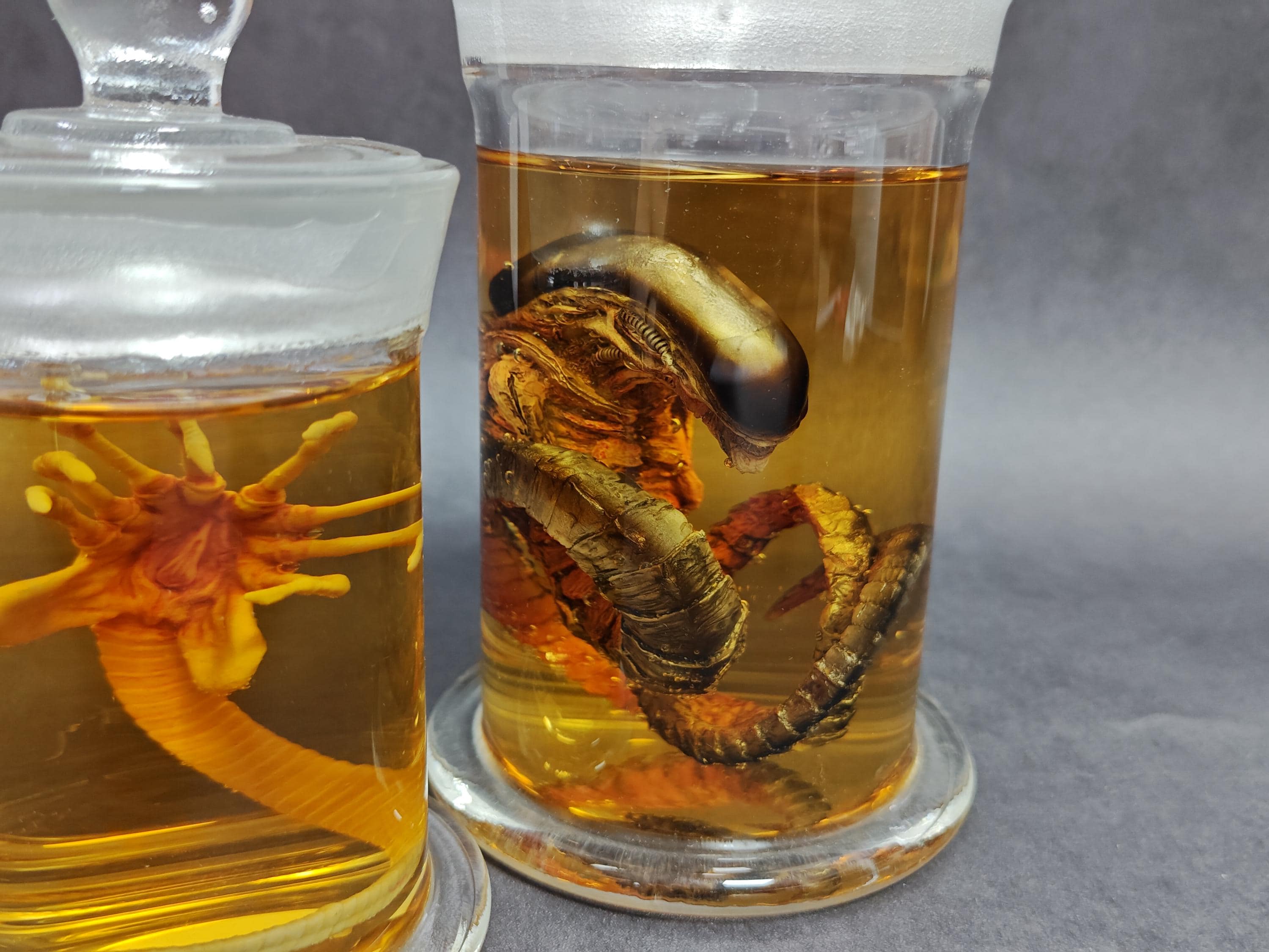 ゼノモーフ エイリアンジャー フェイスハガー チェストバスター 標本瓶