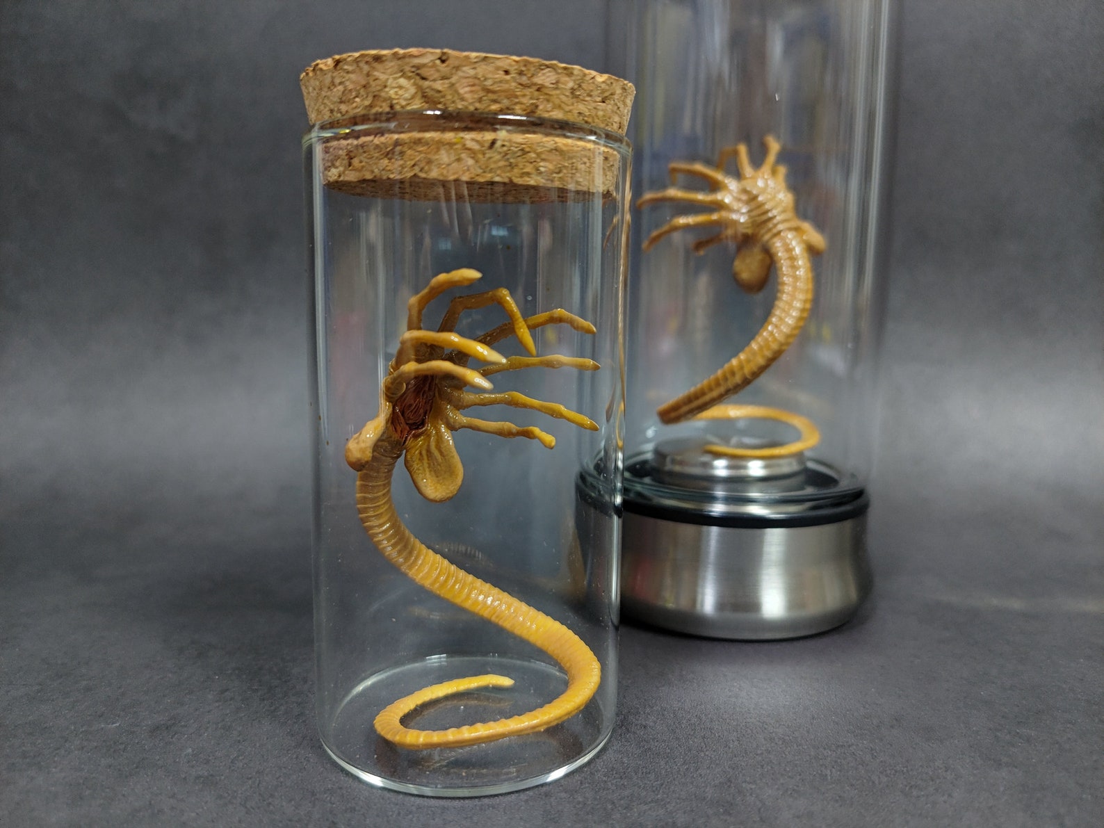 Alien Jar Xenomorph Facehugger Spécimen Embryon Glass Jar Etsy France