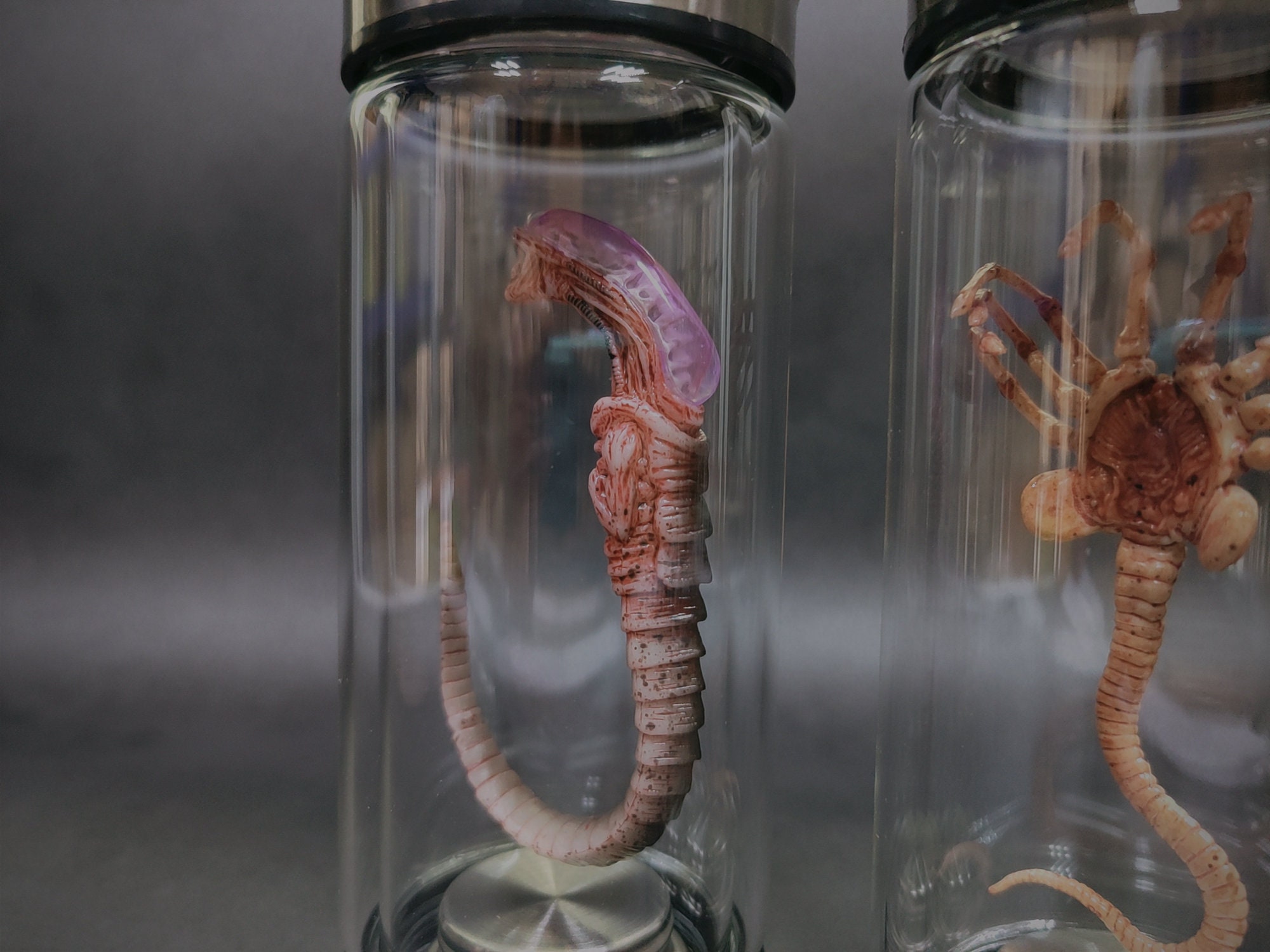 Alien Jar Xenomorph Specimen Facehugger Embryo Glass Jar Movie Etsy UK