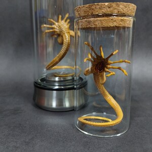 Alien Glow Jar Xenomorph Specimen Facehugger Embryo Glas Jar Film