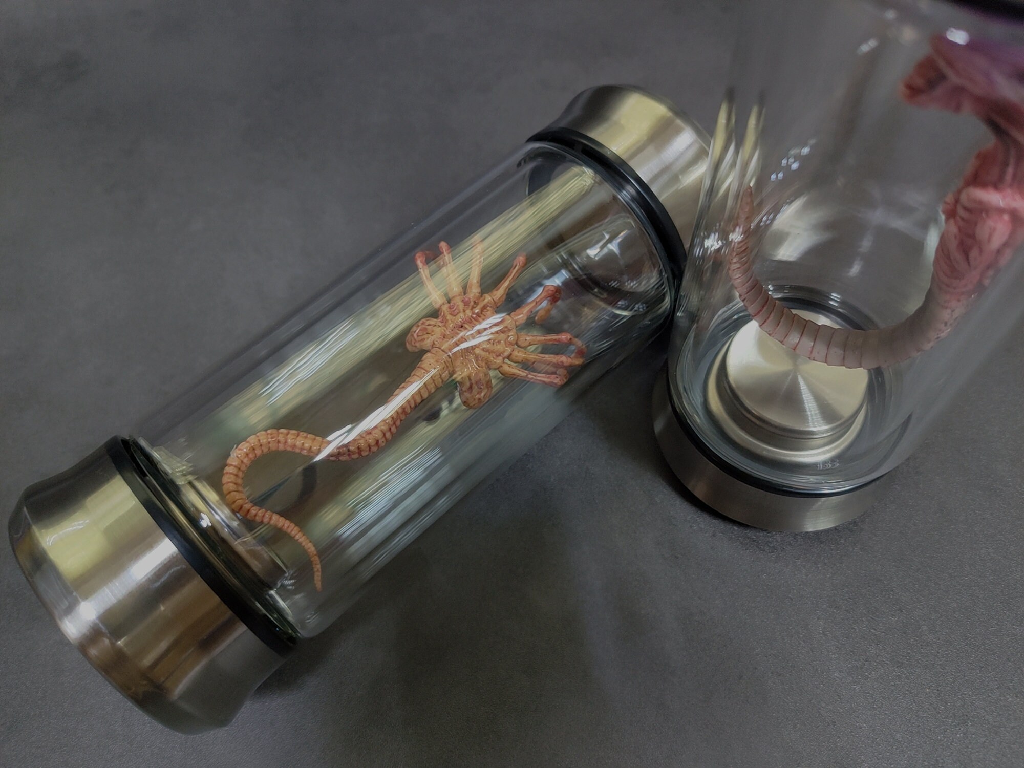 Alien Jar Xenomorph Specimen Facehugger Embryo Glass Jar Movie Etsy UK