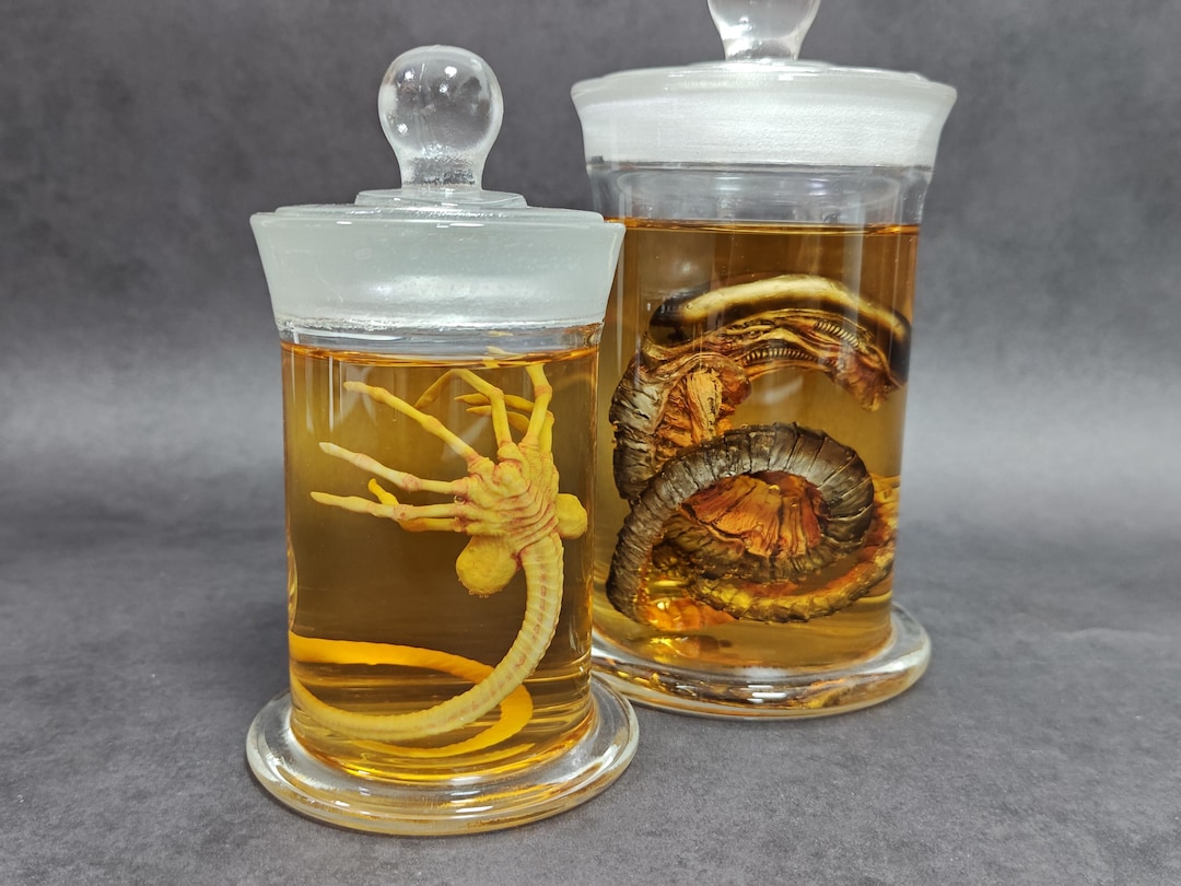 ALIEN エイリアン　フェイスハガー フィギュア　標本　 培養器　ガラス製 ALIEN エイリアン フェイスハガー フィギュア 標本 培養器 ガラス製