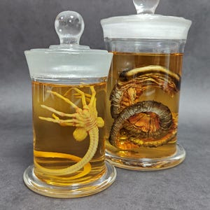 Xenomorph Alien Jar Facehugger Chestburster Specimen Jar Glass Movie Props