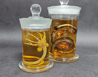 ゼノモーフ エイリアンジャー フェイスハガー チェストバスター 標本瓶