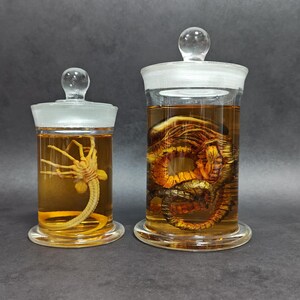Xenomorph Alien Jar Facehugger Chestburster Specimen Jar Glass Movie ...