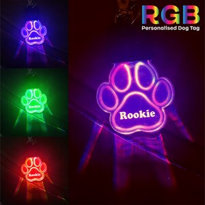 May include: A paw-shaped LED dog tag with the name "Rookie" engraved on it. The tag lights up in red, green, and blue.