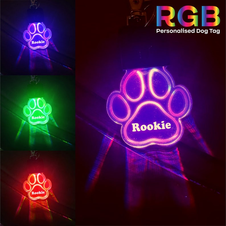 May include: A paw-shaped LED dog tag with the name "Rookie" engraved on it. The tag lights up in red, green, and blue.