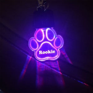 May include: A purple and pink paw print shaped LED keychain with the name "Rookie" inscribed on it.