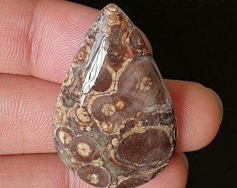 Polished Crocodile Jasper Cabochon, DIY Jewelry Making