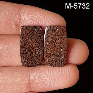 May include: Two rectangular, polished gemstones with a brown and black patterned design. The gemstones are held between fingers, with the text "M-5732" visible in the upper right corner. The stones have a unique, organic appearance.
