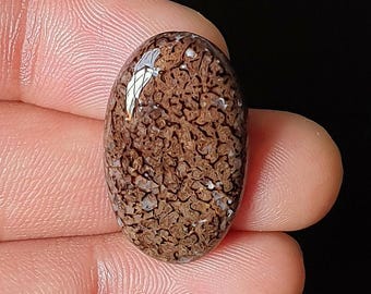 Cabujón de hueso de dinosaurio natural, piedra preciosa con parte trasera plana