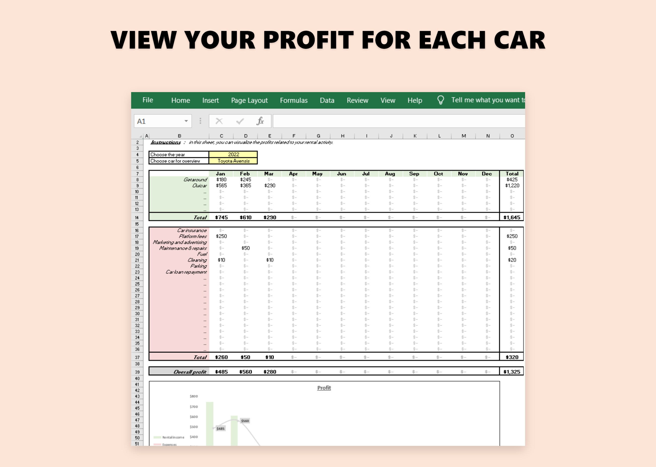 Professional Car Rental Accounting Excel Template - Track Income ...