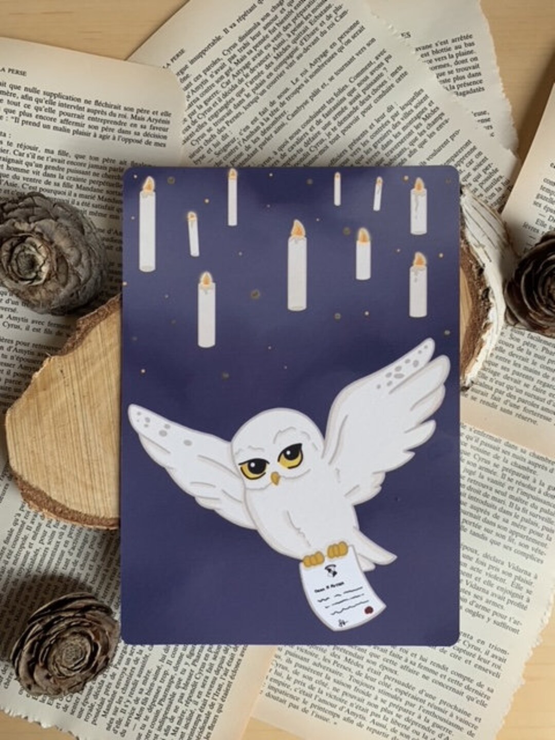 Hedwig Poster - Etsy