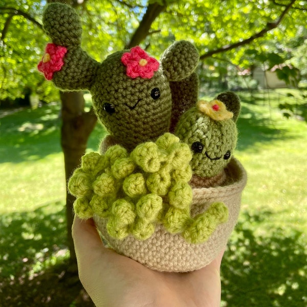 Crochet Cactus and Succulent Planter Amigurumi Plush