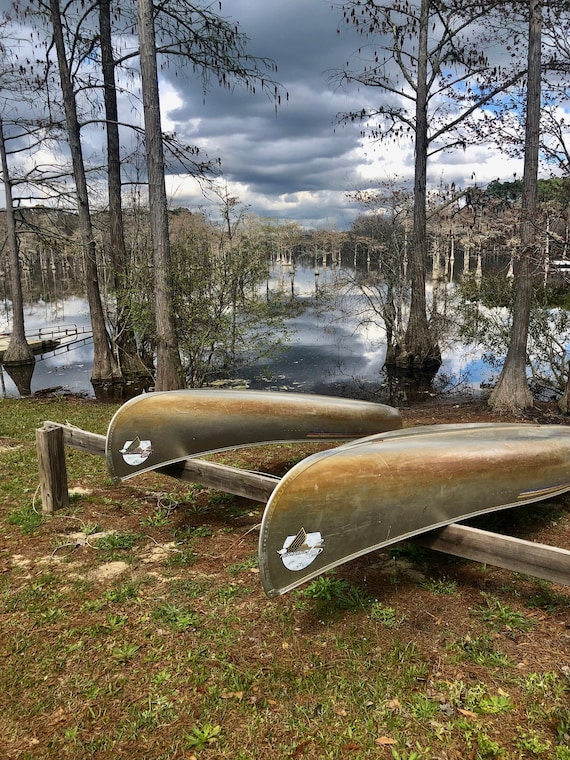 L Smith State Park Etsy Australia