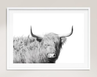 Highland Cow Print, Highland Cow Large Wall Art, Black and White Print, Black and White Photography Prints, Cow Art, Farmhouse Animal Print