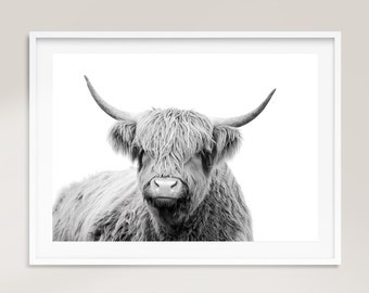 Print Highland Cow, fotografie Schotse hooglanders, slaapkamerprints, bizonprint, boerderijprint, wanddecoratie, afdrukbare poster, buffelprint, stier kunst aan de muur