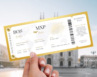 Editable Boarding Pass Template, Fake Plane Ticket Gift, Printable Airline Surprise Trip Ticket, Digital Download DIY Custom Boarding Ticket