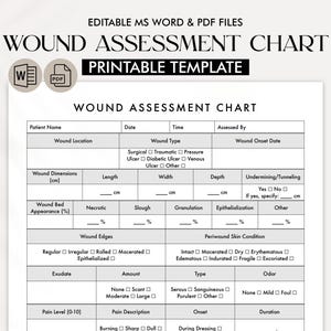 Wound Assessment Chart Template - Medical Wound Care Documentation - Wound Management Chart - Printable & Editable Nursing Tool - PDF - WORD
