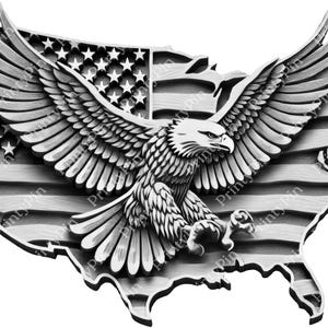 May include: A silver eagle with its wings spread wide, perched atop a map of the United States of America, with the American flag design in the background.