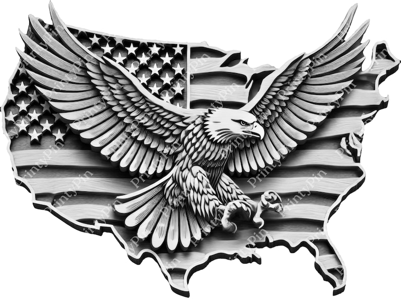 May include: A silver eagle with its wings spread wide, perched atop a map of the United States of America, with the American flag design in the background.