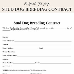 Printable Stud Dog Breeding Contract Template Word - Customizable Dog Breeding Agreement Template - Instant Download - Canine Stud Dog PDF
