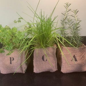 POT COVERS for AROMATIC HERBS